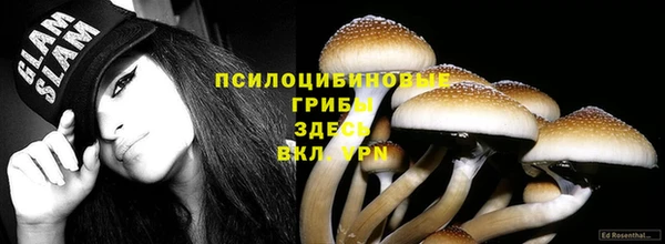 гидропоника Краснослободск