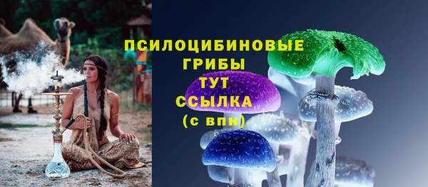 бошки Лабытнанги