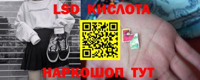 стаф Камышлов