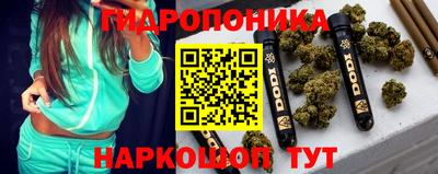 стаф Камышлов
