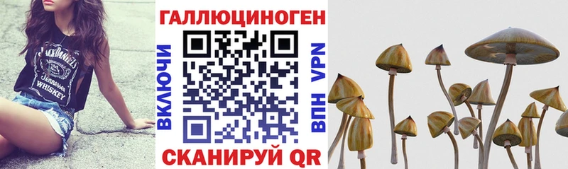Галлюциногенные грибы мицелий  Углич 