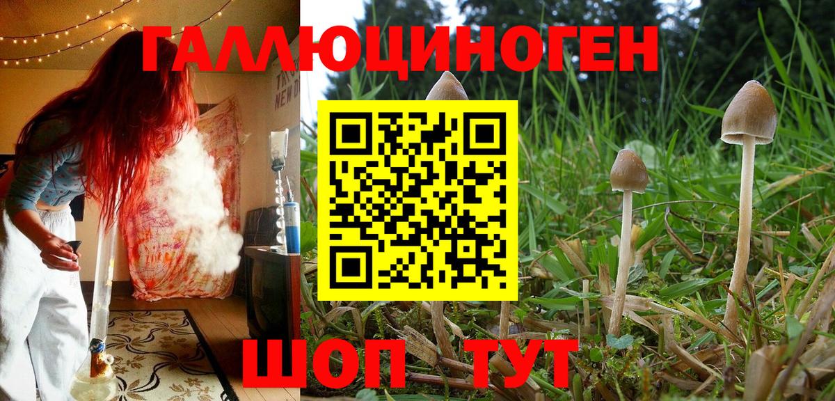 Псилоцибиновые грибы прущие грибы Углич